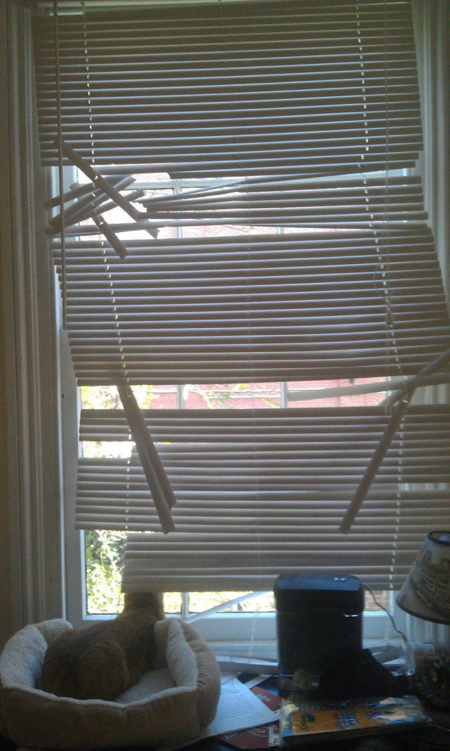 morning picdump 52 pics 11.html - 52 HD Photos | Premium Gallery 2016