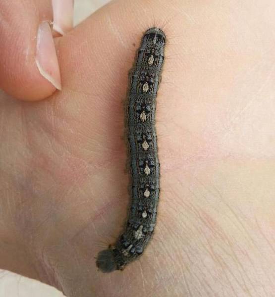 daily picdump 103 pics 24.html - 103 HD Photos | Premium Gallery 2016