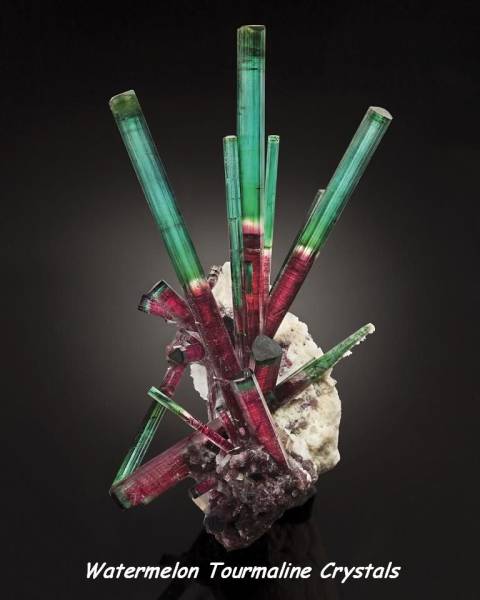 daily picdump 103 pics 24.html - 103 HD Photos | Premium Gallery 2016