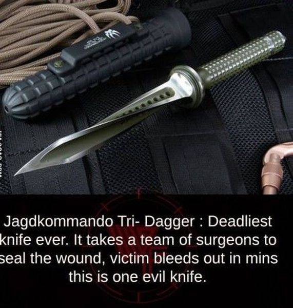 daily picdump 103 pics 24.html - 103 HD Photos | Premium Gallery 2016