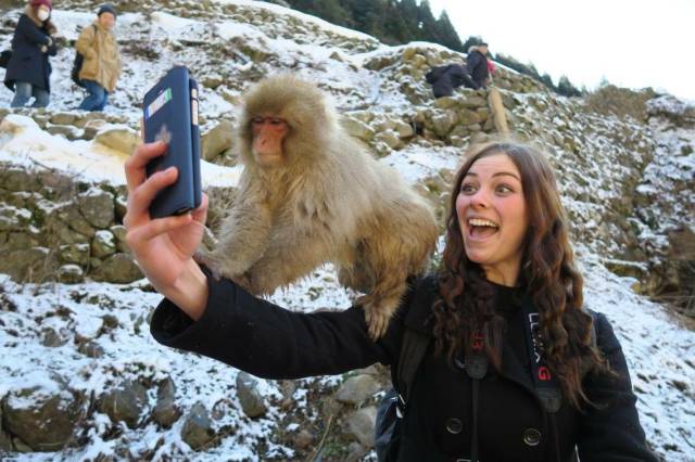 daily picdump 103 pics 24.html - 103 HD Photos | Premium Gallery 2016