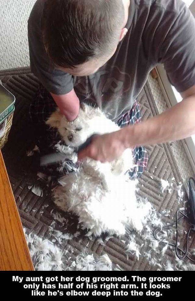 daily picdump 103 pics 24.html - 103 HD Photos | Premium Gallery 2016