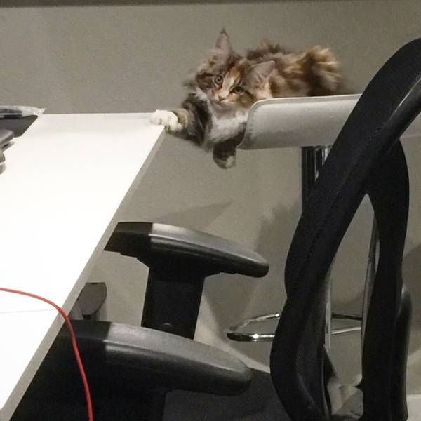 morning picdump 52 pics 3.html - 52 HD Photos | Premium Gallery 2016