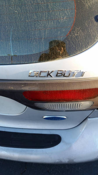 morning picdump 52 pics 3.html - 52 HD Photos | Premium Gallery 2016