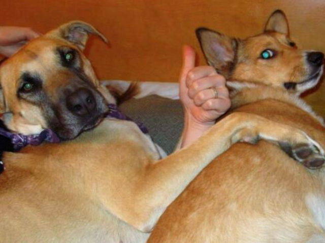 morning picdump 52 pics 3.html - 52 HD Photos | Premium Gallery 2016