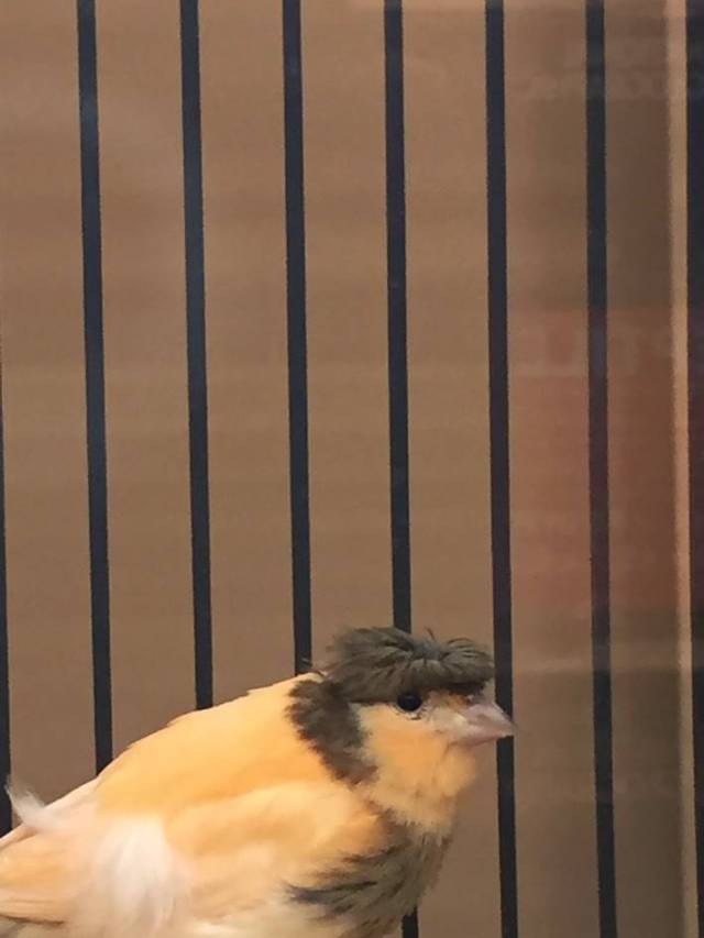 morning picdump 52 pics 3.html - 52 HD Photos | Premium Gallery 2016