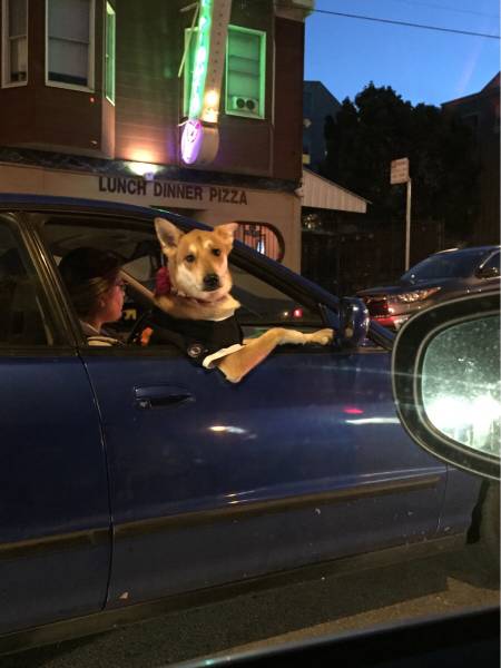 morning picdump 54 pics 3.html - 54 HD Photos | Premium Gallery 2016