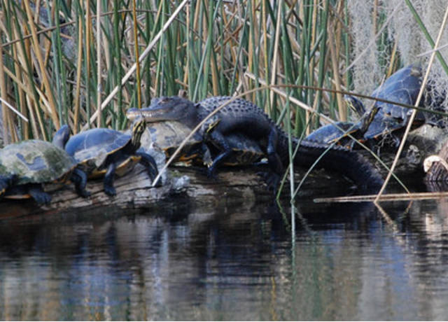 morning picdump 54 pics 3.html - 54 HD Photos | Premium Gallery 2016