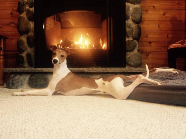 morning picdump 54 pics 3.html - 54 HD Photos | Premium Gallery 2016