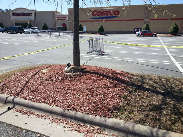 morning picdump 54 pics 3.html - 54 HD Photos | Premium Gallery 2016