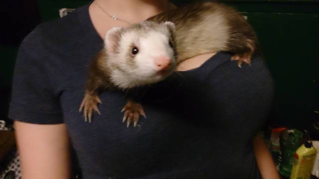 Boobs Can Serve Different Purposes