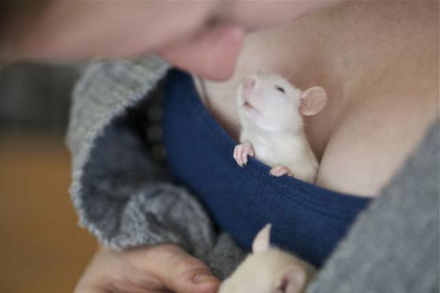 Boobs Can Serve Different Purposes