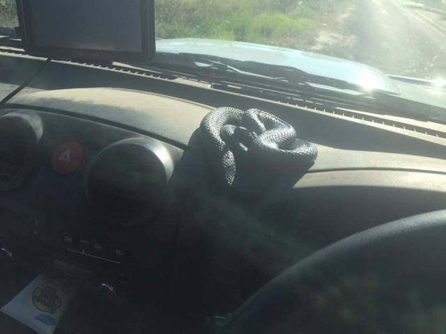 morning picdump 54 pics 20.html - 54 HD Photos | Premium Gallery 2016