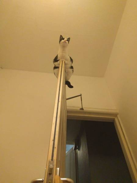 morning picdump 53 pics 22.html - 53 HD Photos | Premium Gallery 2016