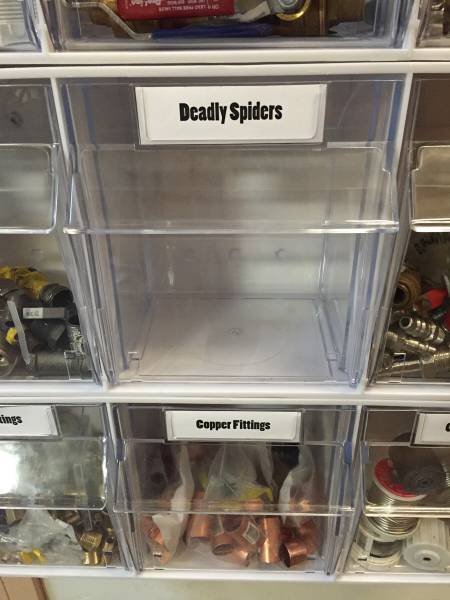 morning picdump 51 pics 4.html - 51 HD Photos | Premium Gallery 2016