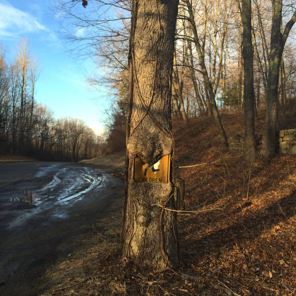 morning picdump 51 pics 4.html - 51 HD Photos | Premium Gallery 2016