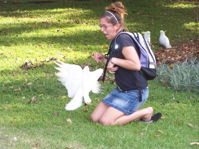 morning picdump 53 pics 6.html - 53 HD Photos | Premium Gallery 2016