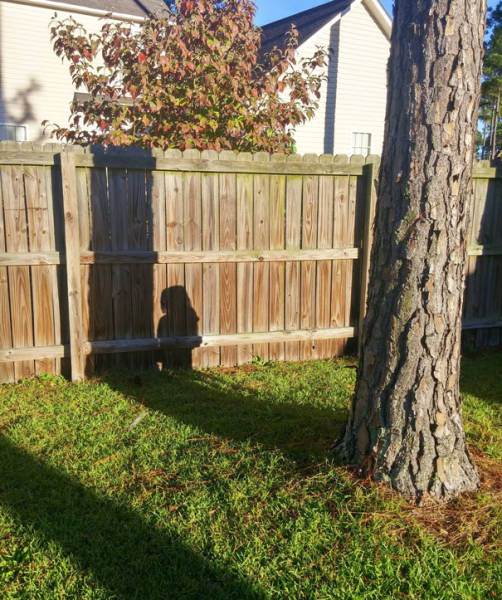 Kids That Totally Suck At Hide And Seek