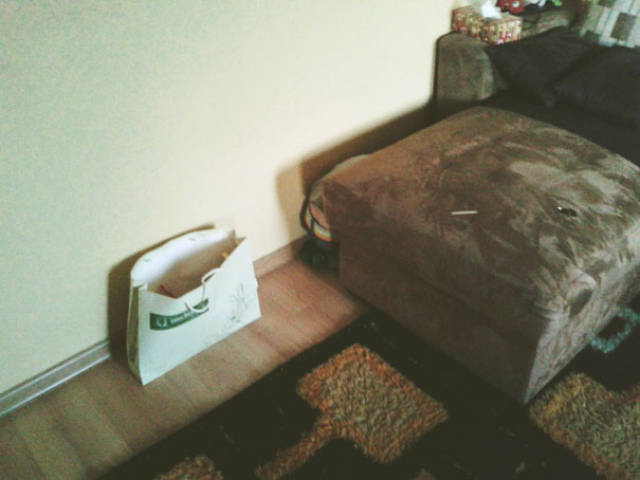 Kids That Totally Suck At Hide And Seek