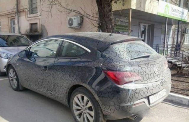 Morning Picdump