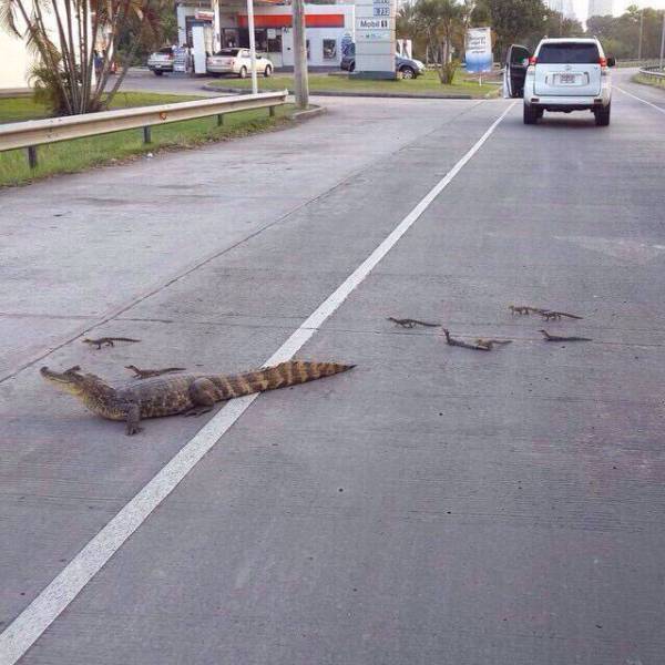 Morning Picdump