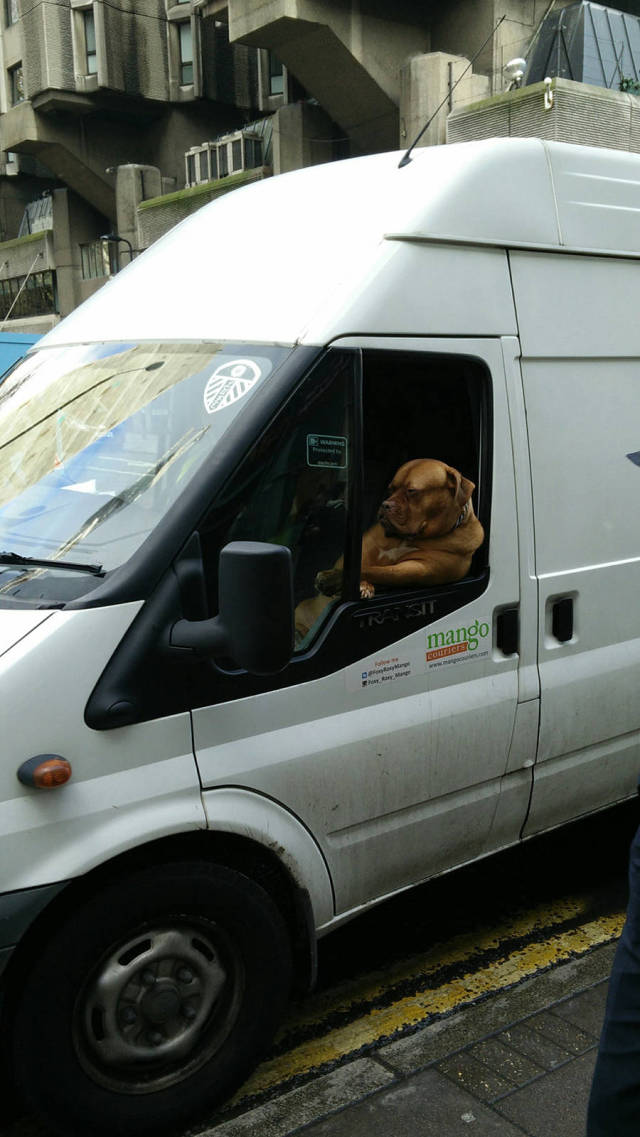Morning Picdump