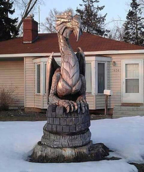 Fascinating Photos That Speak For Themselves