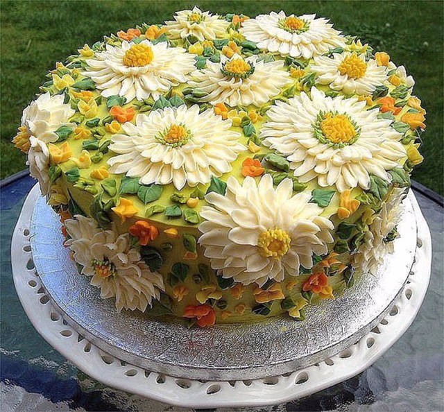 Fascinating Photos That Speak For Themselves