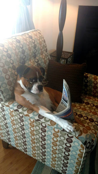 morning picdump 50 pics 2.html - 50 HD Photos | Premium Gallery 2016