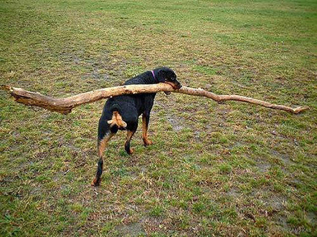 morning picdump 50 pics 2.html - 50 HD Photos | Premium Gallery 2016