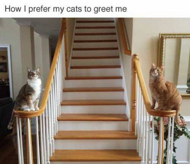 daily picdump 107 pics 17.html - 107 HD Photos | Premium Gallery 2016