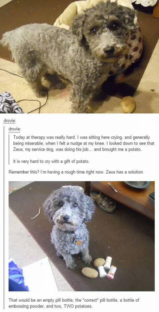 daily picdump 107 pics 17.html - 107 HD Photos | Premium Gallery 2016