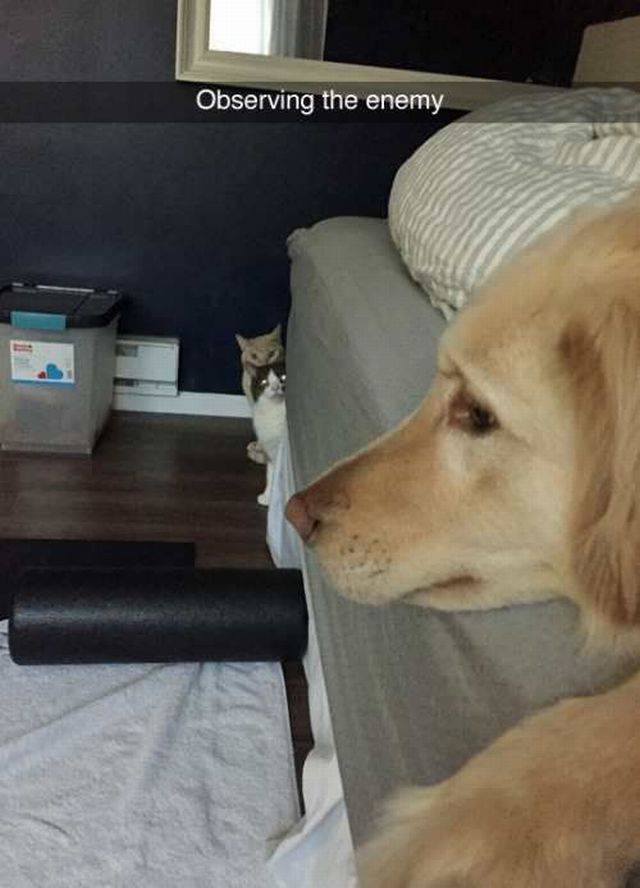 daily picdump 107 pics 17.html - 107 HD Photos | Premium Gallery 2016