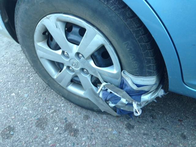 morning picdump 51 pics 14.html - 51 HD Photos | Premium Gallery 2016