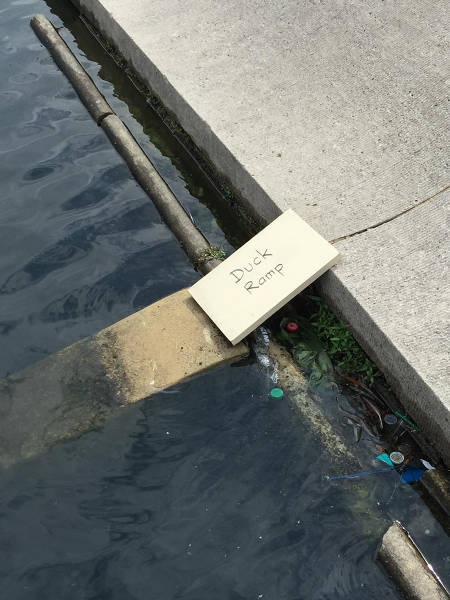 morning picdump 51 pics 14.html - 51 HD Photos | Premium Gallery 2016