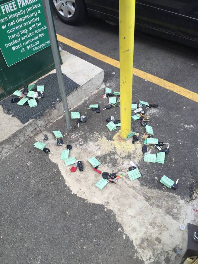 morning picdump 51 pics 14.html - 51 HD Photos | Premium Gallery 2016