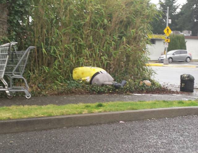 morning picdump 55 pics 14.html - 55 HD Photos | Premium Gallery 2016