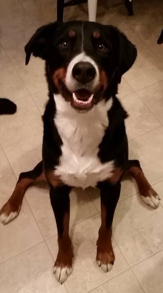 morning picdump 55 pics 14.html - 55 HD Photos | Premium Gallery 2016