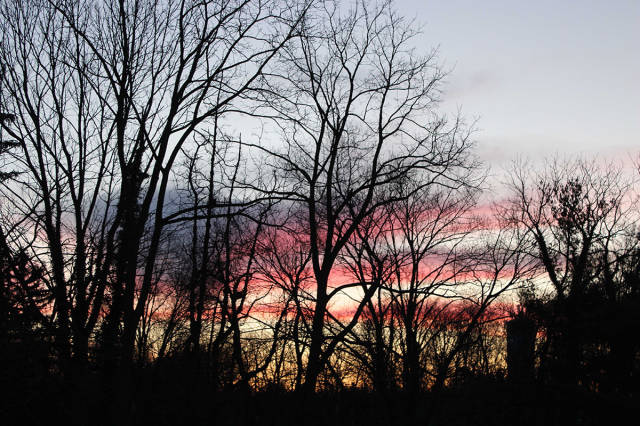 morning picdump 55 pics 14.html - 55 HD Photos | Premium Gallery 2016