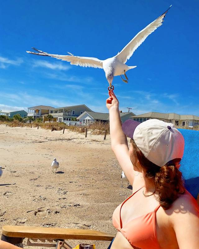 morning picdump 55 pics 14.html - 55 HD Photos | Premium Gallery 2016