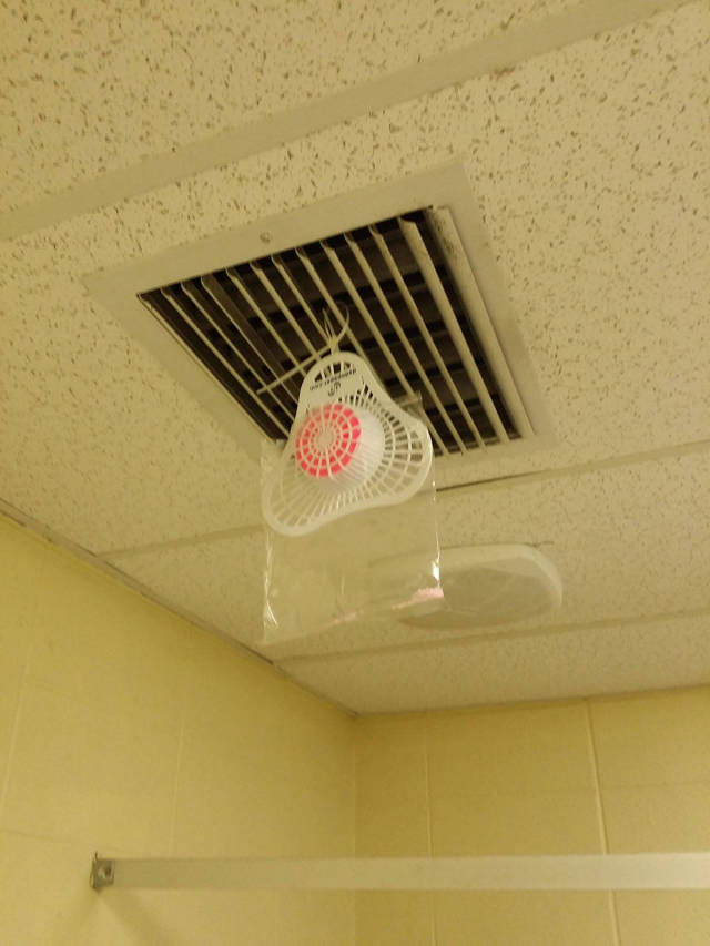 morning picdump 55 pics 14.html - 55 HD Photos | Premium Gallery 2016