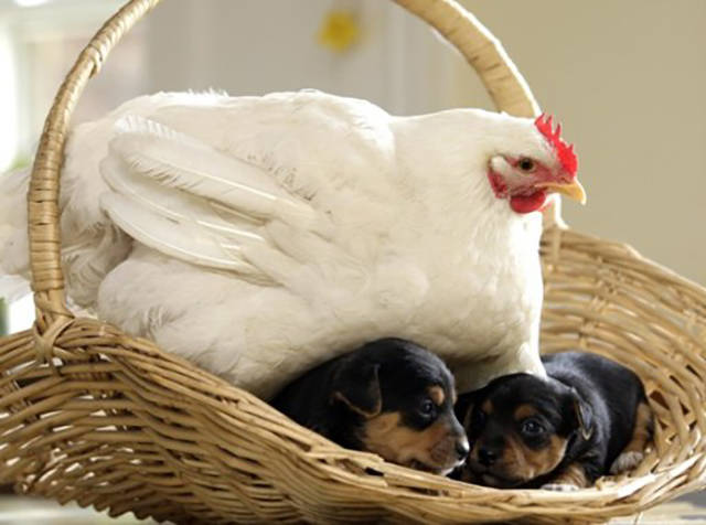 morning picdump 50 pics 21.html - 50 HD Photos | Premium Gallery 2016