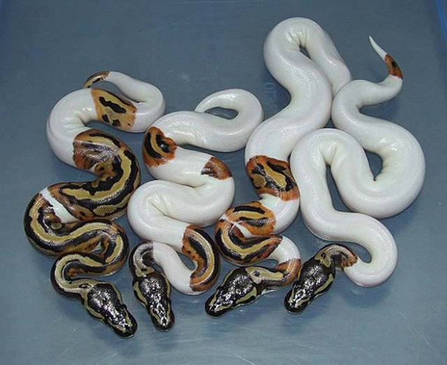 morning picdump 50 pics 21.html - 50 HD Photos | Premium Gallery 2016