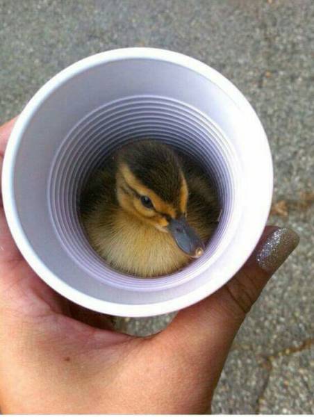 morning picdump 50 pics 21.html - 50 HD Photos | Premium Gallery 2016