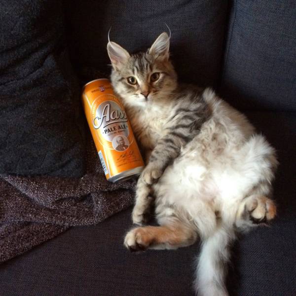 morning picdump 50 pics 21.html - 50 HD Photos | Premium Gallery 2016