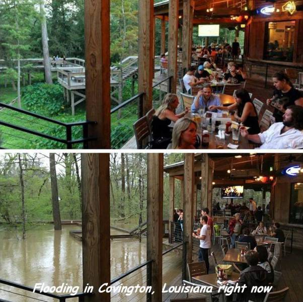 daily picdump 100 pics 4.html - 100 HD Photos | Premium Gallery 2016