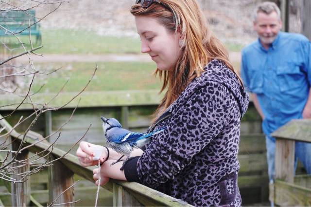 daily picdump 100 pics 4.html - 100 HD Photos | Premium Gallery 2016