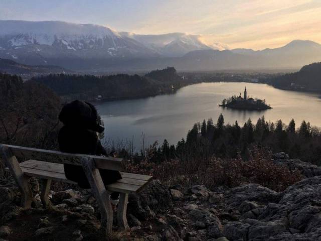 daily picdump 100 pics 4.html - 100 HD Photos | Premium Gallery 2016