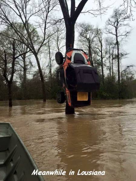 daily picdump 100 pics 4.html - 100 HD Photos | Premium Gallery 2016