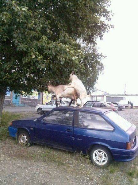 daily picdump 100 pics 4.html - 100 HD Photos | Premium Gallery 2016